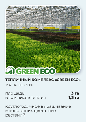Тепличный комплекс Green Eco